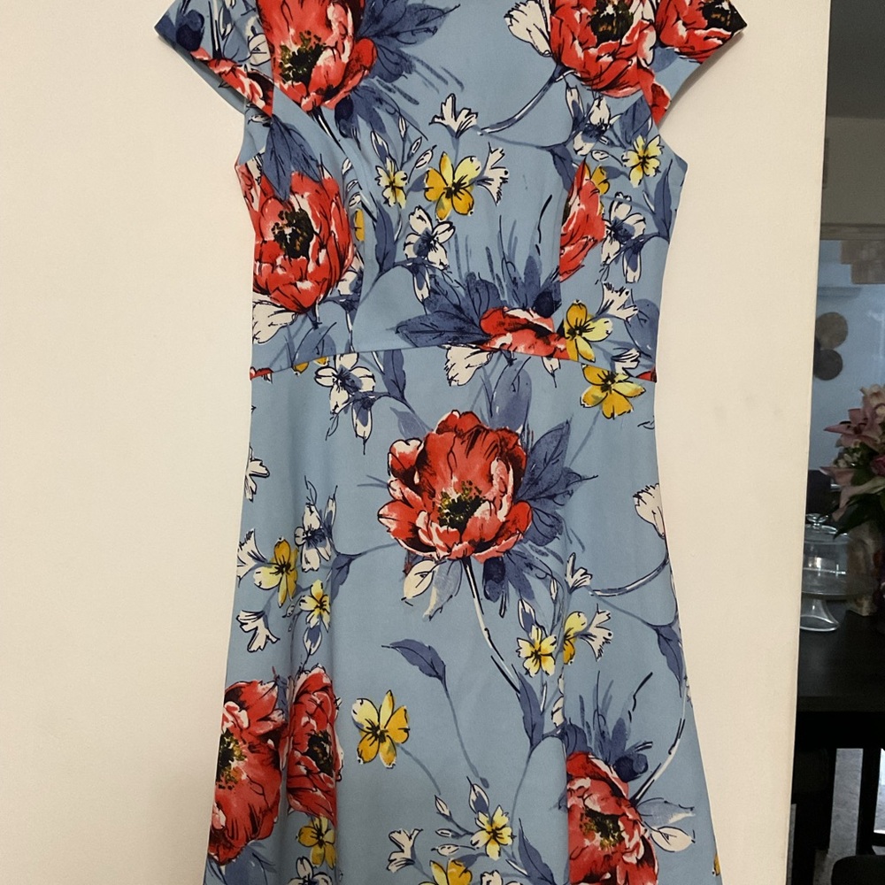 Blue Floral Fit-and-Flare Dress with Red & Yellow Blooms